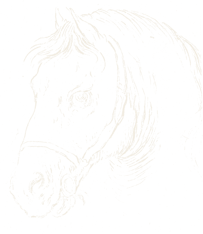 An etched horse head in a halter, leaning in from the right with her nose toward the words
